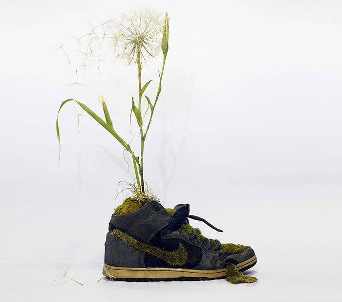 Коллекция объектов Just grow it, художник Кристоф Гине (Christophe Guinet)